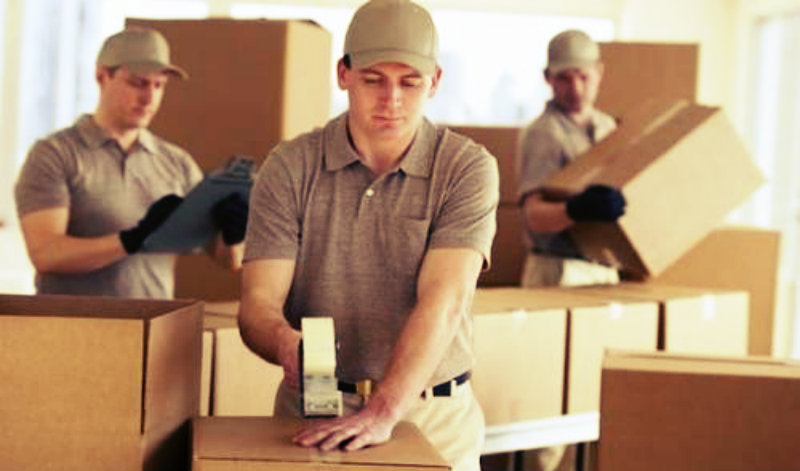 Easy Ways To Reduce Moving Costs When Hiring Removalists In Toukley