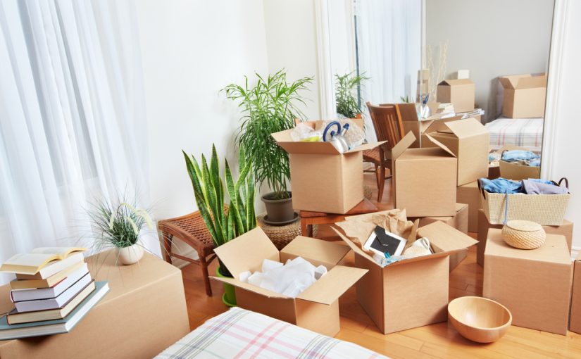 How To Streamline The House Removal Process For A Seamless Experience