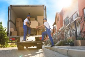 Removal companies Terrigal