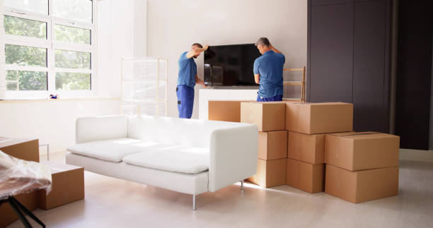 Trusted & Reliable: The Best Removal Companies Avoca Beach Has to Offer