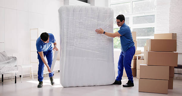 How to Choose the Best Professional Removalists in Wyong: What to Look For
