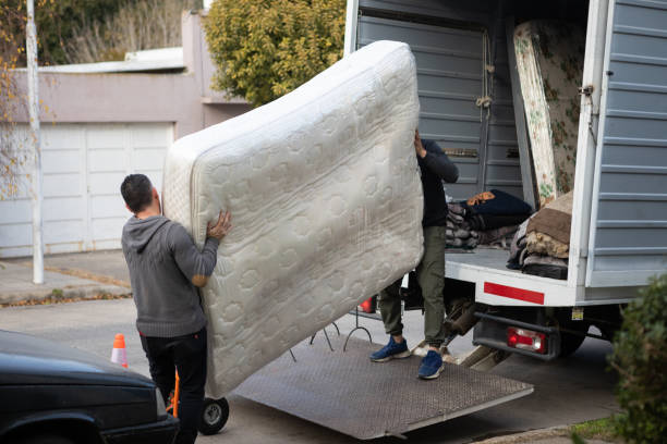 DIY vs. Professional Removal Companies: What to Choose?