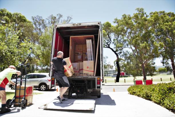 How to Experience a Stress-Free Move? Removalists Reveal the Truth
