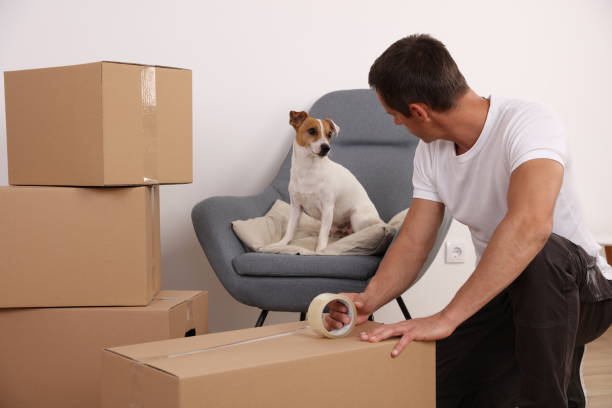 How to Plan Stress-Free House Removals with Pets in Umina?