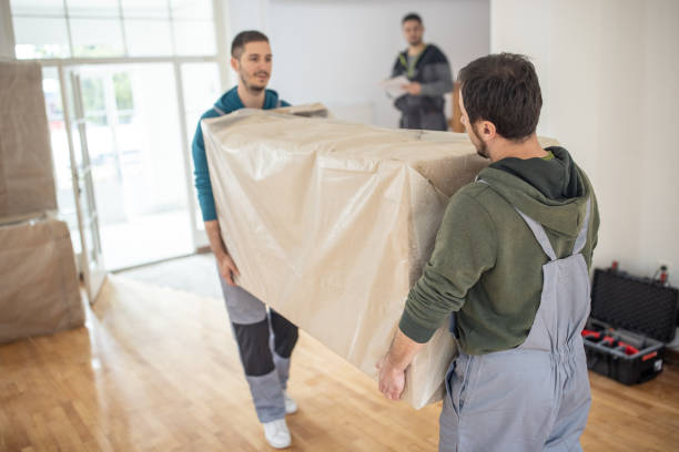 How to Save Money While Hiring Removal Companies in Avoca Beach
